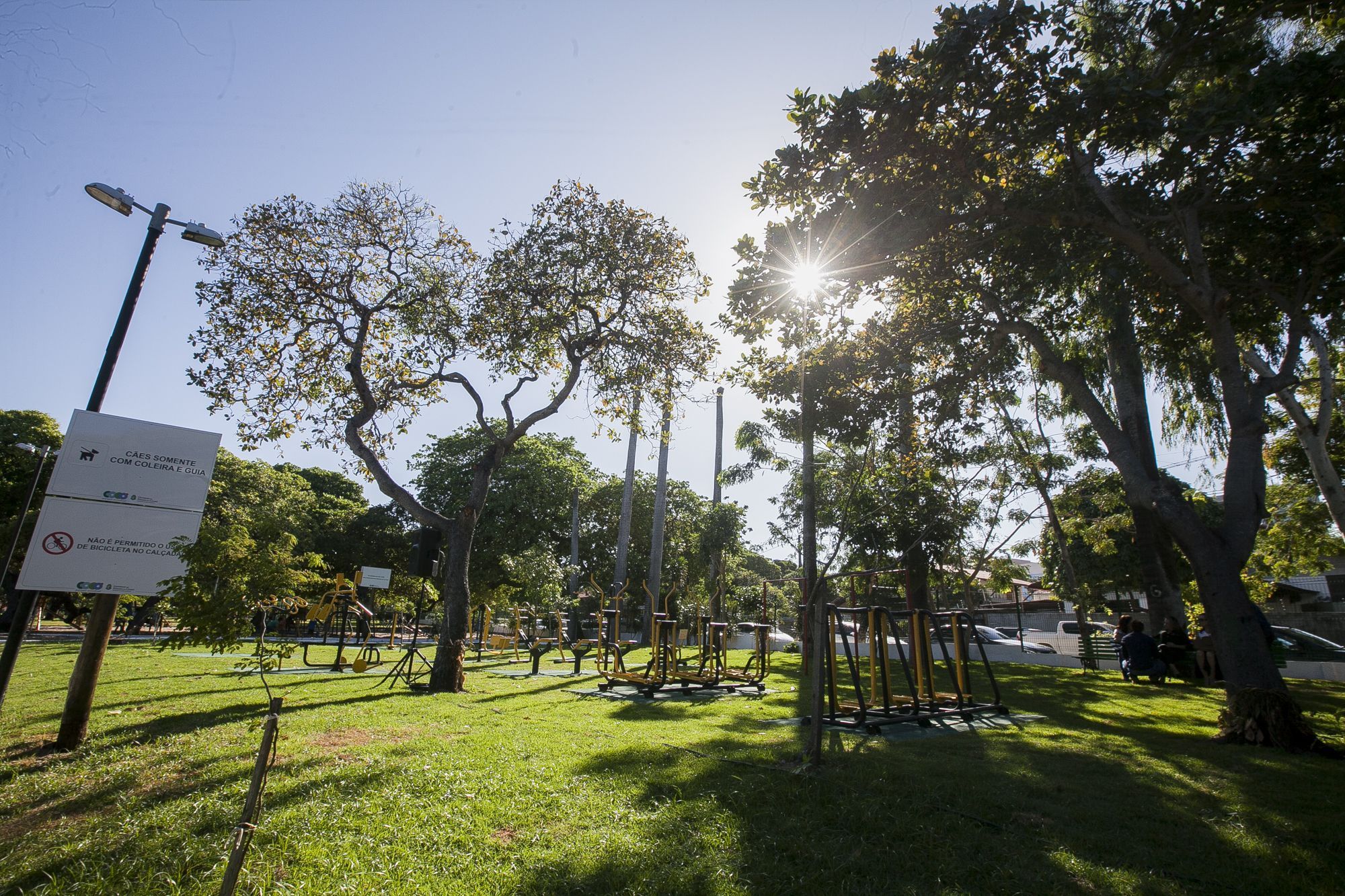 Área verde tem brinquedos, pista de caminhada e bosque • Carlos Gibaja/Ascom Sema