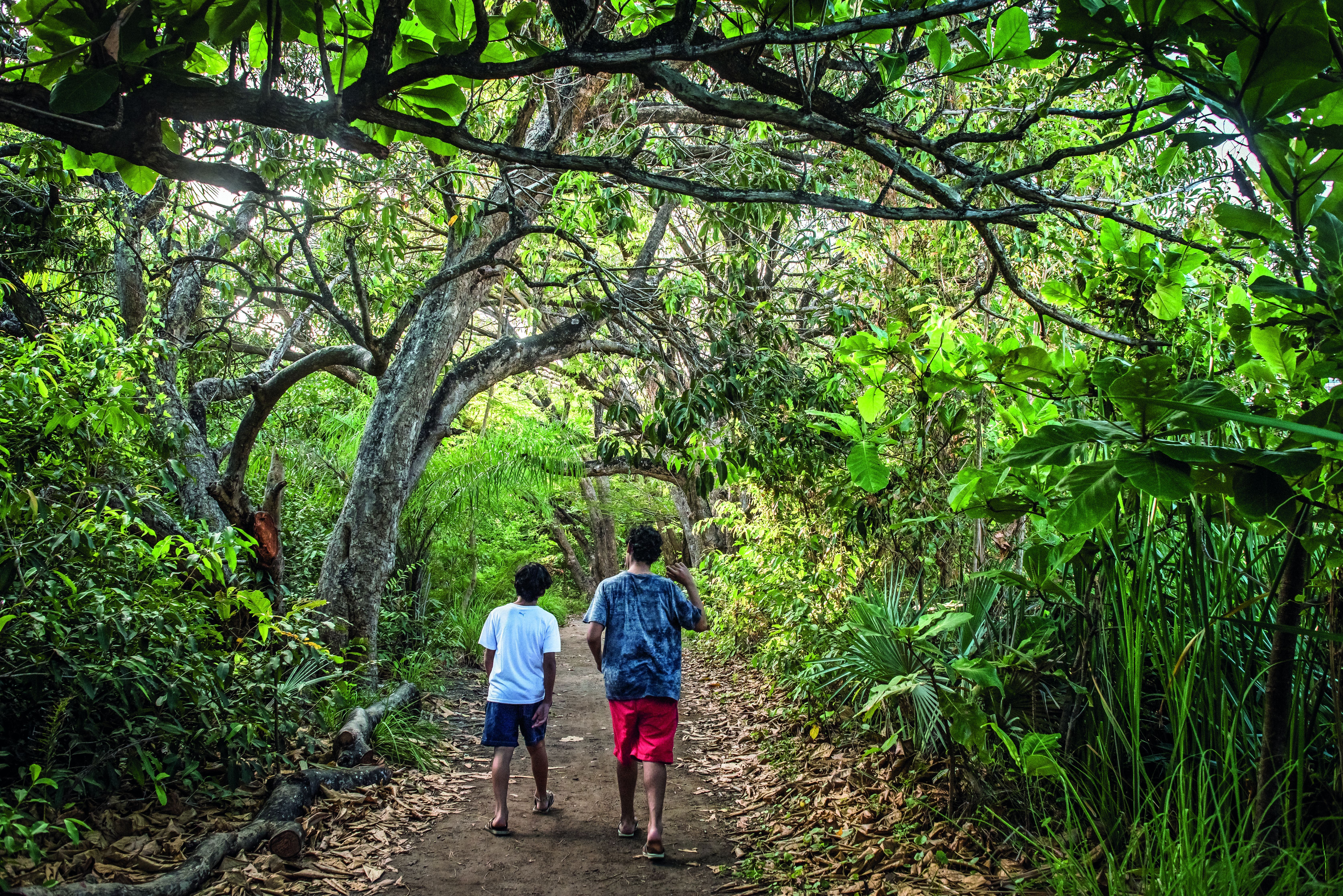Parque Estadual do Cocó é um dos atrativos urbanos de Fortaleza • Comunicação da Secretaria do Meio Ambiente e Mudança do Clima
