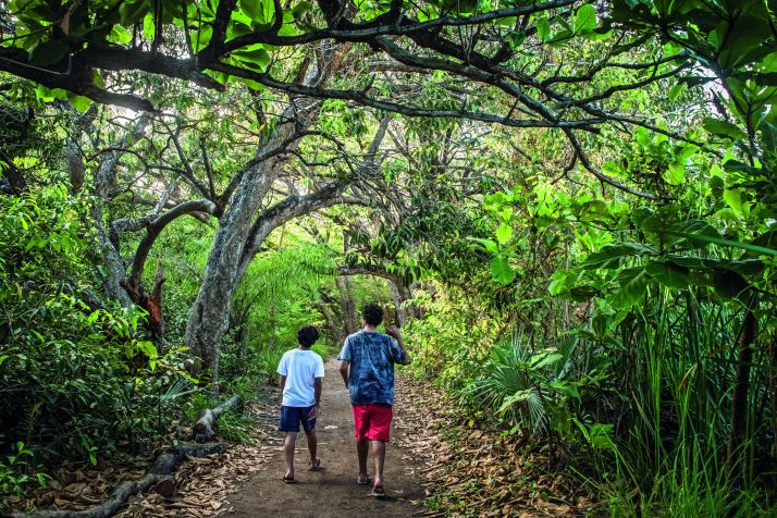 Parque Estadual do Cocó é um dos atrativos urbanos de Fortaleza • Comunicação da Secretaria do Meio Ambiente e Mudança do Clima