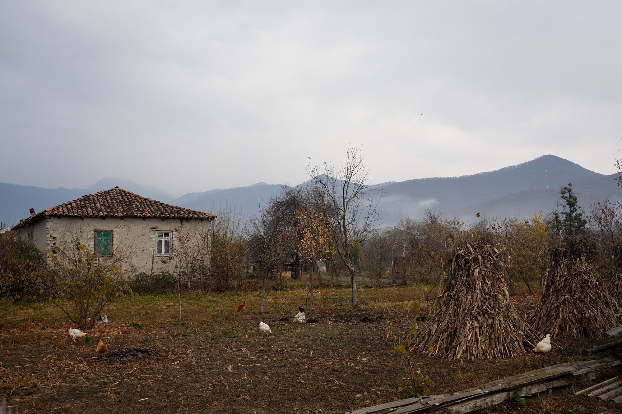 Pankisi, na Georgia