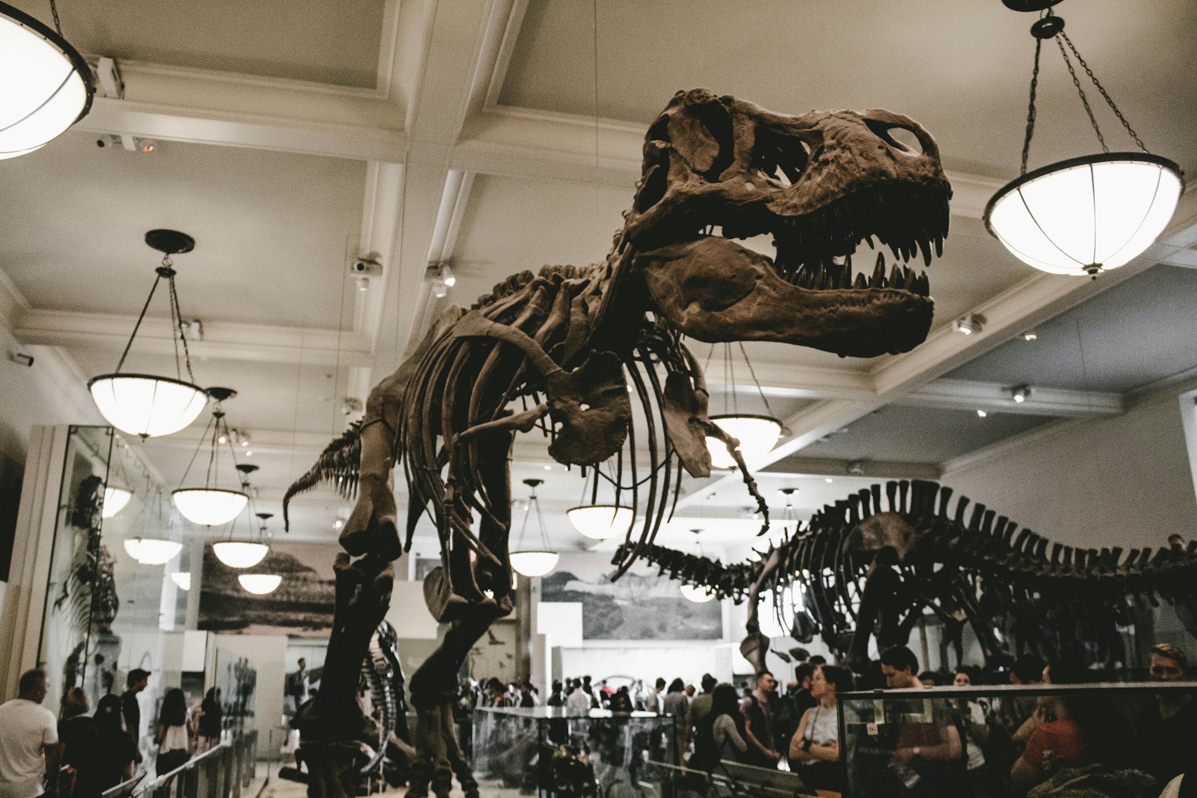 Museu Americano de História Natural, em Nova York