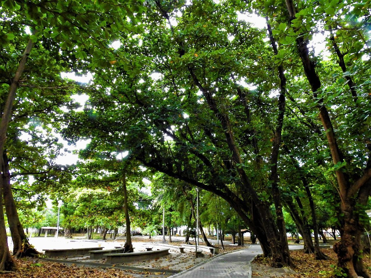 Parque Urbano Rio Branco conta com playground para crianças • Reprodução/Prefeitura de Fortaleza