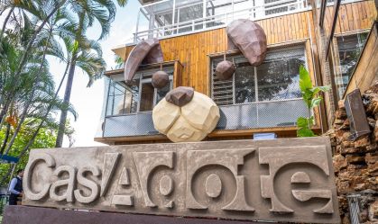 Novo café pet friendly em São Paulo reúne cães e gatos para adoção