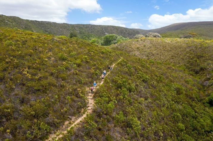 Grootbos, na África do Sul, é conhecido como um paraíso botânico • Instagram/Grootbos Private Nature Reserve