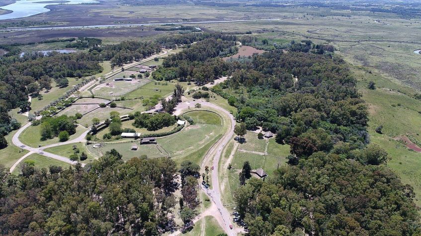 Parque Lecocq é uma reserva natural com mais de 500 animais • Wikimedia Commons