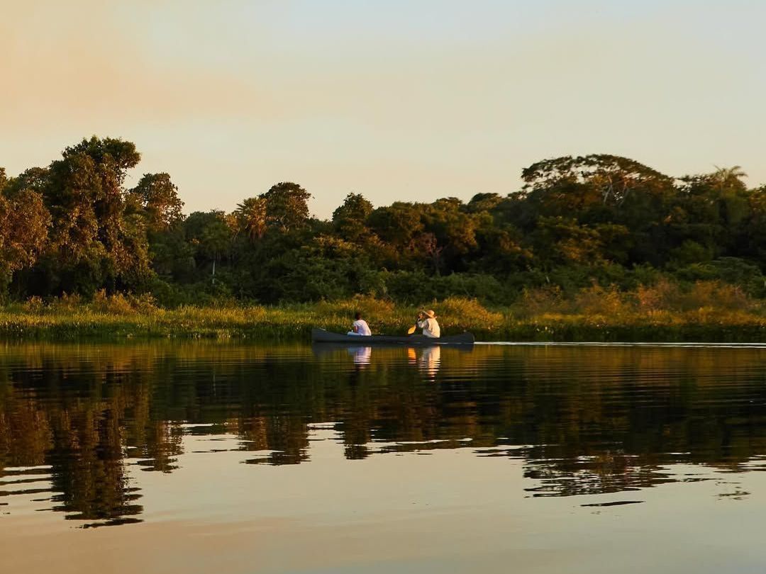 caiman pantanal