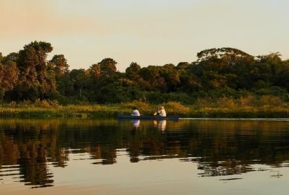 Caiman, no Pantanal, tem projeto de regeneração da flora e fauna pantaneira após os devastadores incêndios na região