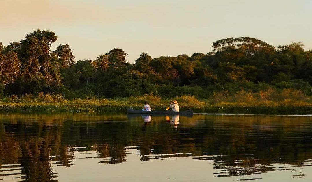 Ecoturismo de Luxo na Amazônia: Iniciativas do Amazonas Recebem Destaque Internacional por Preservação e Impacto Social