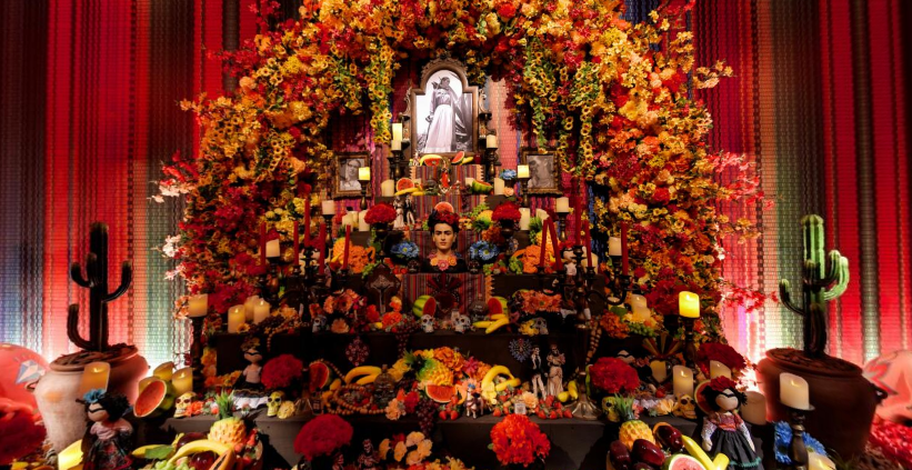 Exposição imersiva de Frida Kahlo retorna a São Paulo após passagem em 2023 • Divulgação