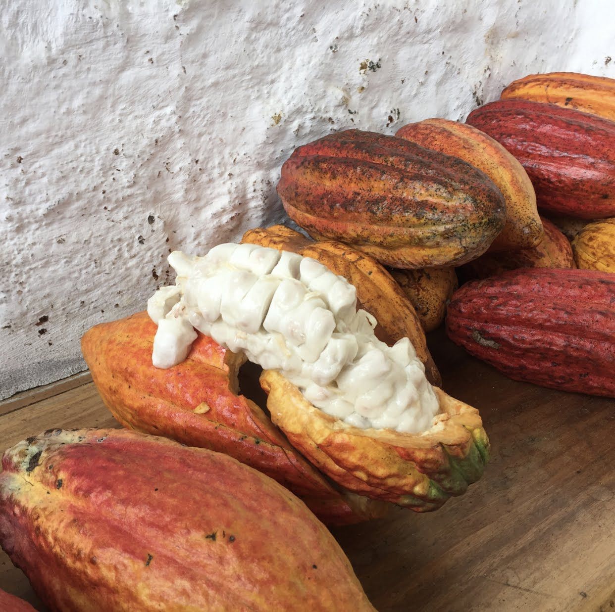 Feira Bean to Bar Brasil reúne produtores de chocolate artesanal no Mercado de Pinheiros