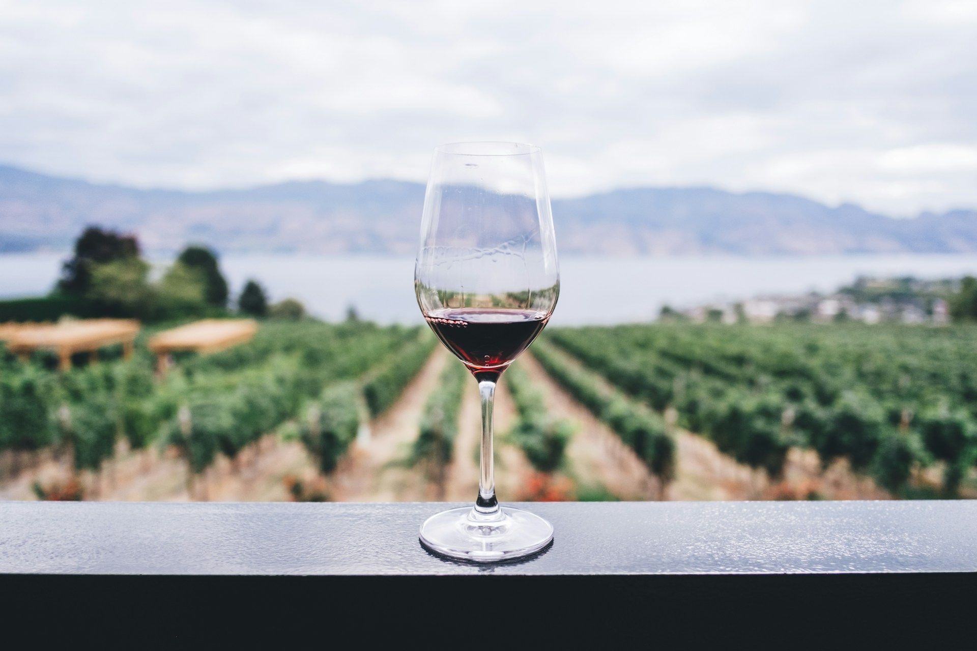 Vinho avaliado em mais de R$ 600 mil é aberto após 127 anos: 