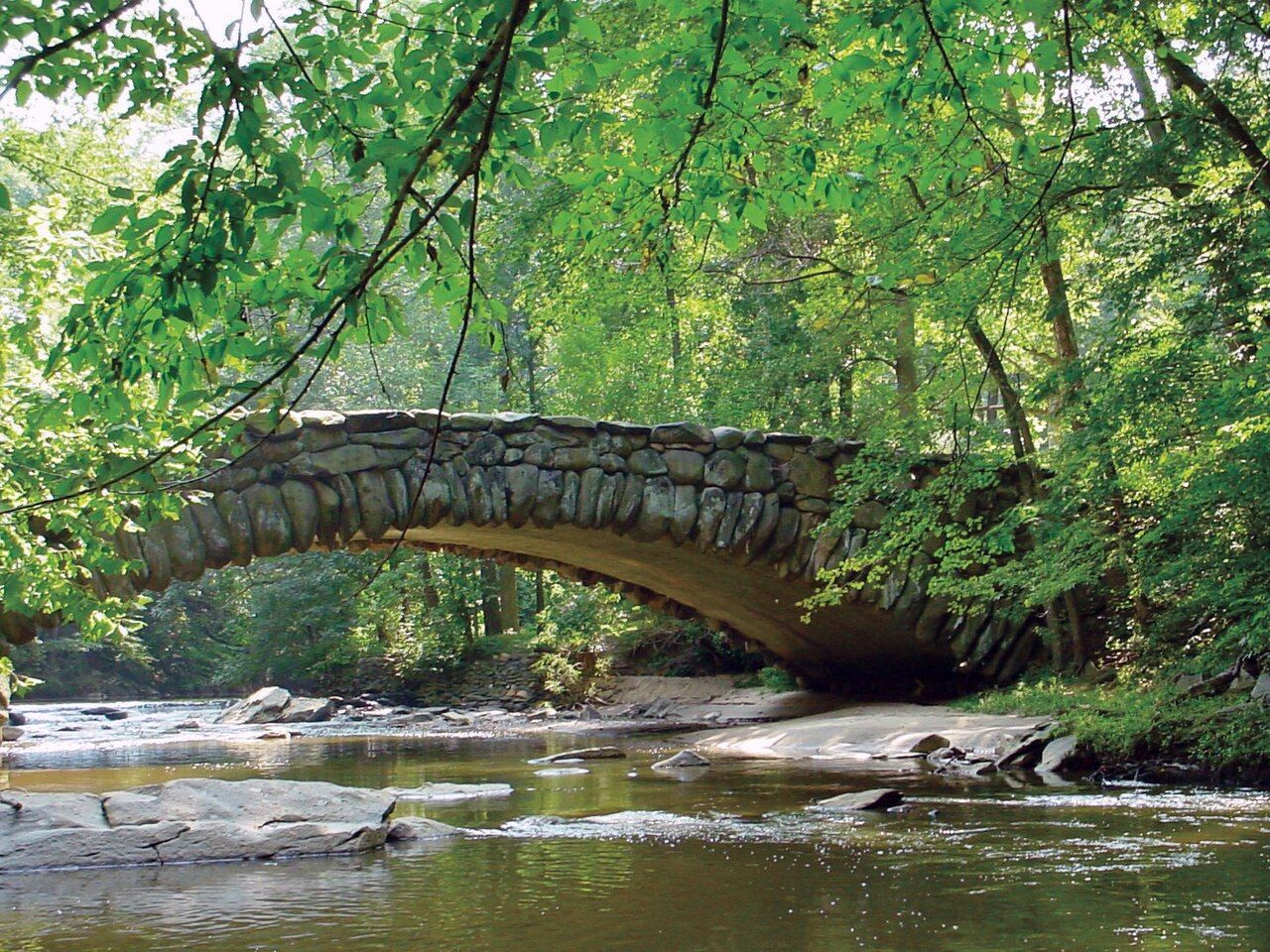 Rock Creek Park é um parque urbano em Washington • Wikimedia Commons/Kathleen Cole/CC BY-SA 4.0