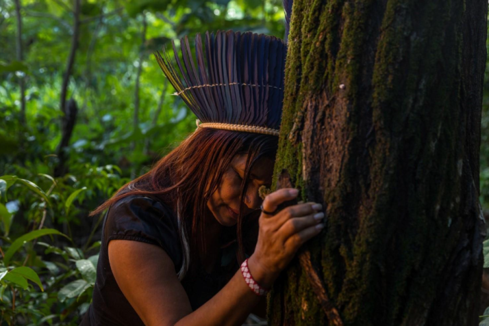 "Encantadas – Mulheres Jenipapo Kanindé e a Memória Viva das Árvores" apresenta artes em cerâmica feitas pelas mulheres indígenas da etnia Jenipapo Kanindé • Divulgação