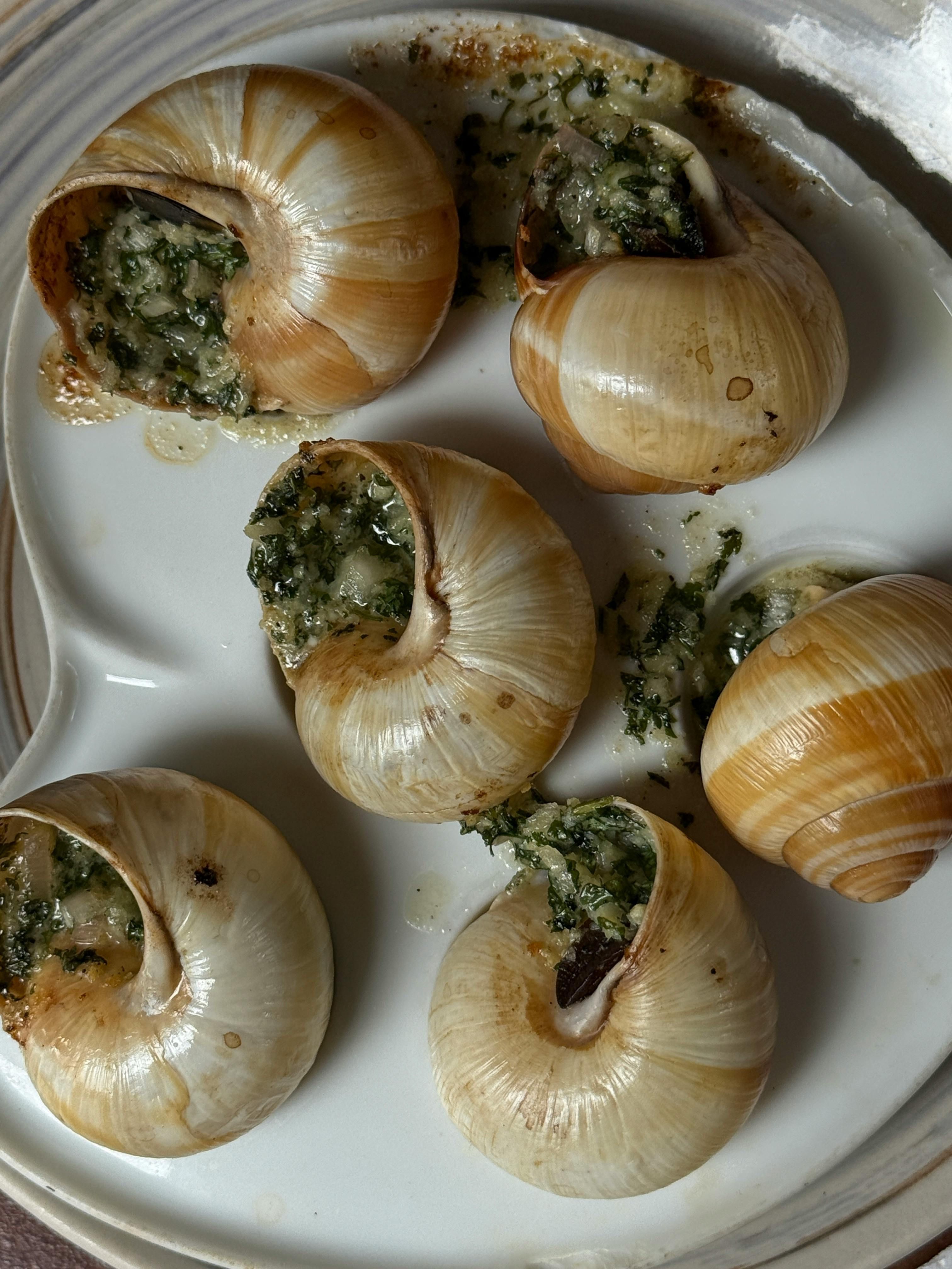Caracóis com manteiga de salsa e alho são uma iguaria francesa • Pexels