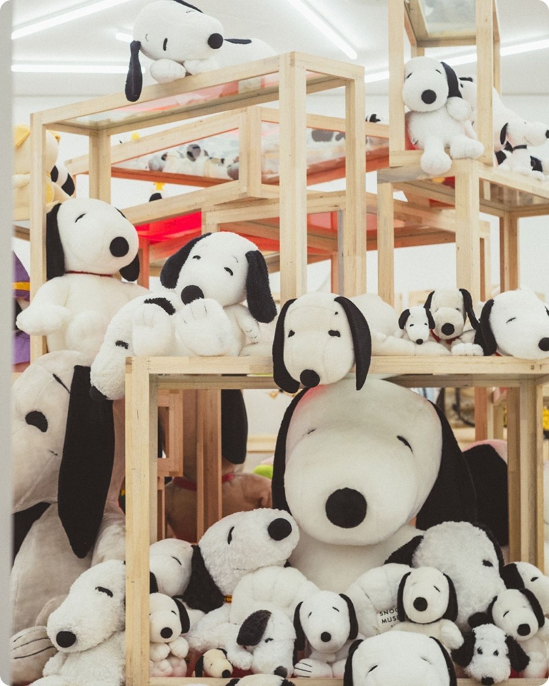 Loja faz parte do museu dedicado ao universo Peanuts, com diversos itens do Snoopy • Reprodução/Snoopy Museum Tokyo