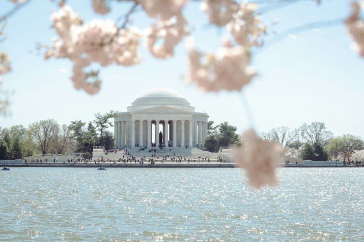 As cerejeiras fazem parte da identidade do Tidal Basin • Unsplash