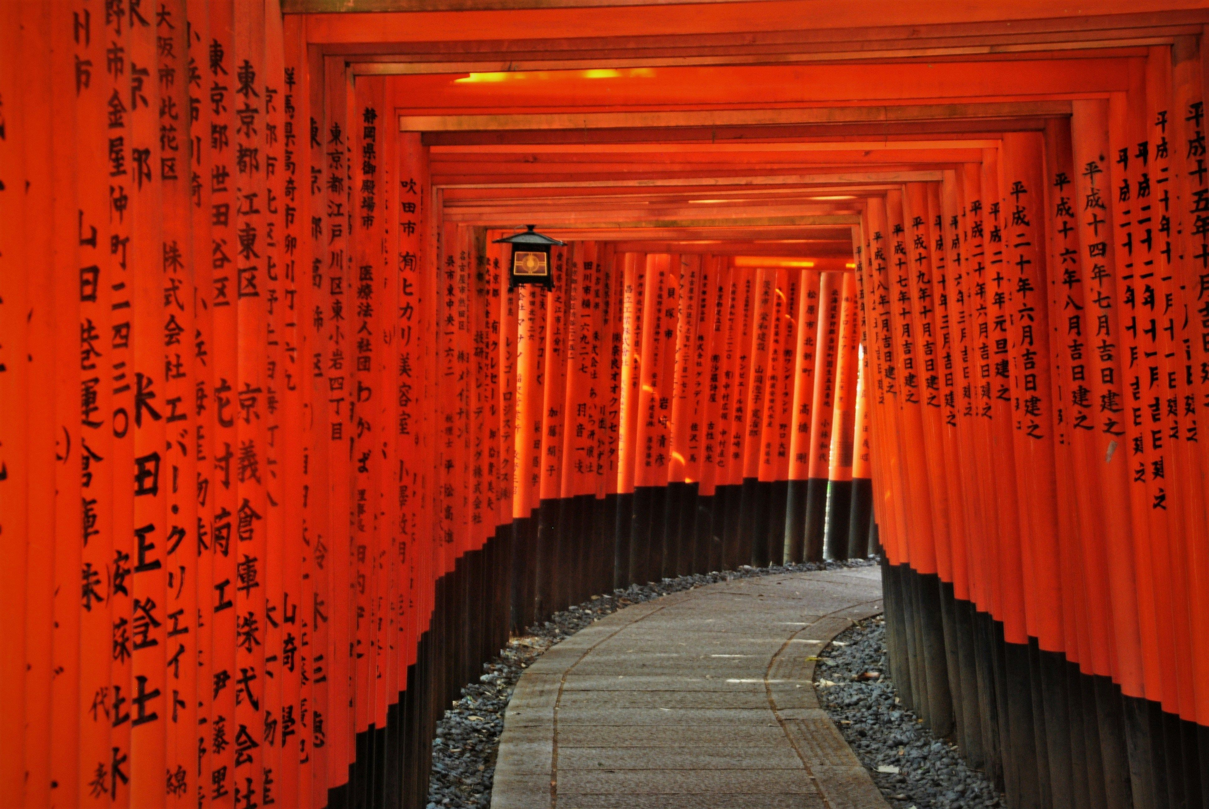 Templo é dedicado à divindade Inari • Stefan K/Unsplash