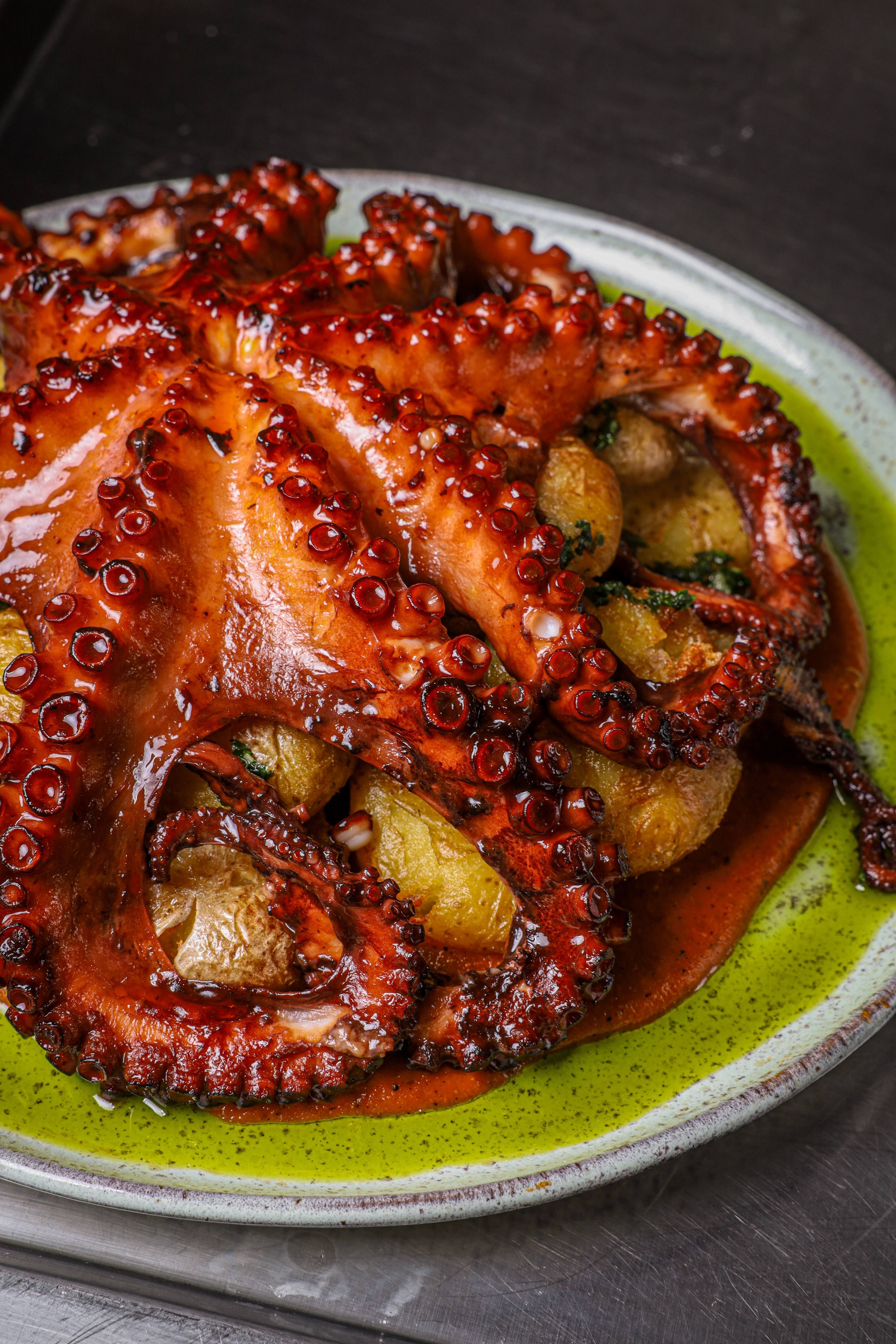 Polvo inteiro com batatas e molho romanesco é o carro-chefe da casa • Tais Barros
