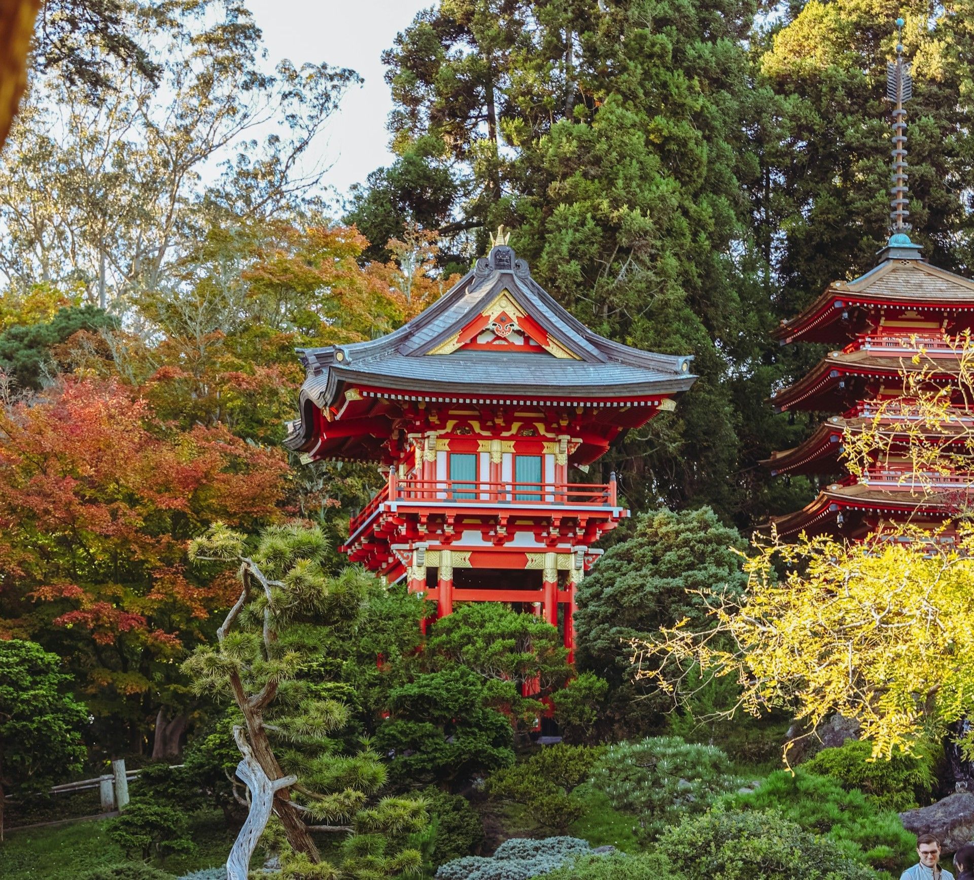 Jardim de Chá Japonês do Golden Gate Park é o jardim público japonês mais antigo dos EUA • Foto de Graciela Martin na Unsplash