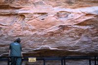 5 lugares para ver arte rupestre no Brasil, do Piauí a Minas Gerais