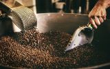 Rotas do Café tiveram os indicadores mais expressivos