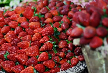 Festa do Morango de Jarinu e Atibaia prevê 120 mil visitantes; veja agenda