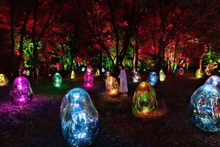 Obra "Resonating Microcosms in the Common Camellia Garden – Solidified Light Color, Dusk to Dawn (2022)" • © teamLab