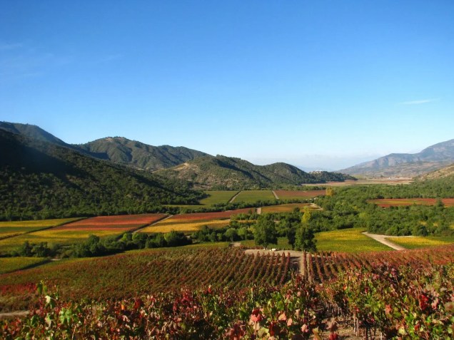 Vik possui cerca de 4.500 hectares de vinhedos na zona rural de Millahue, no Vale do Cachapoal, a 2h de Santiago • Divulgação/Vik Chile