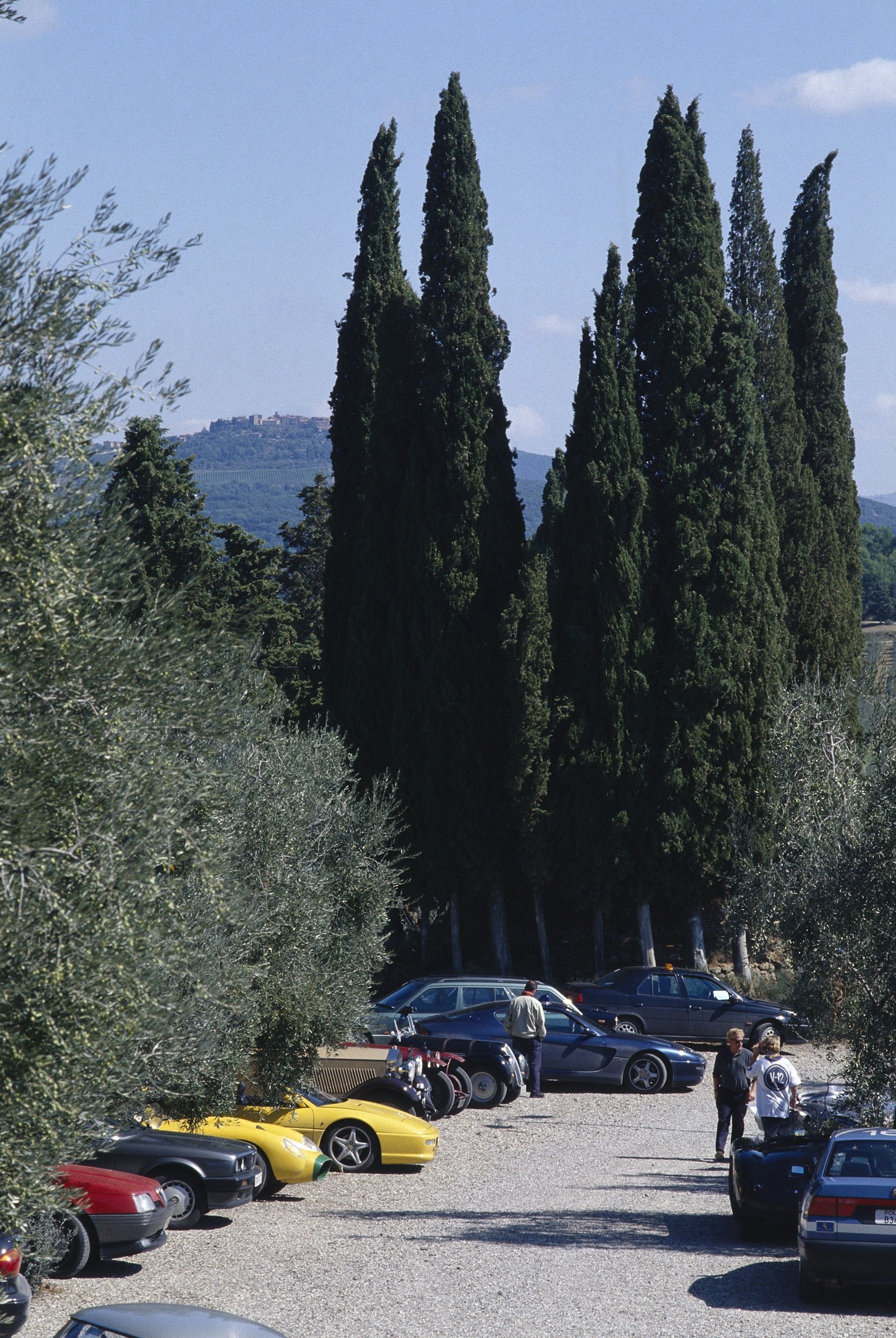 Criada em 1993, a Classic Run já passou por cenários como a Malásia, Toscana, China e Europa Central • Divulgação