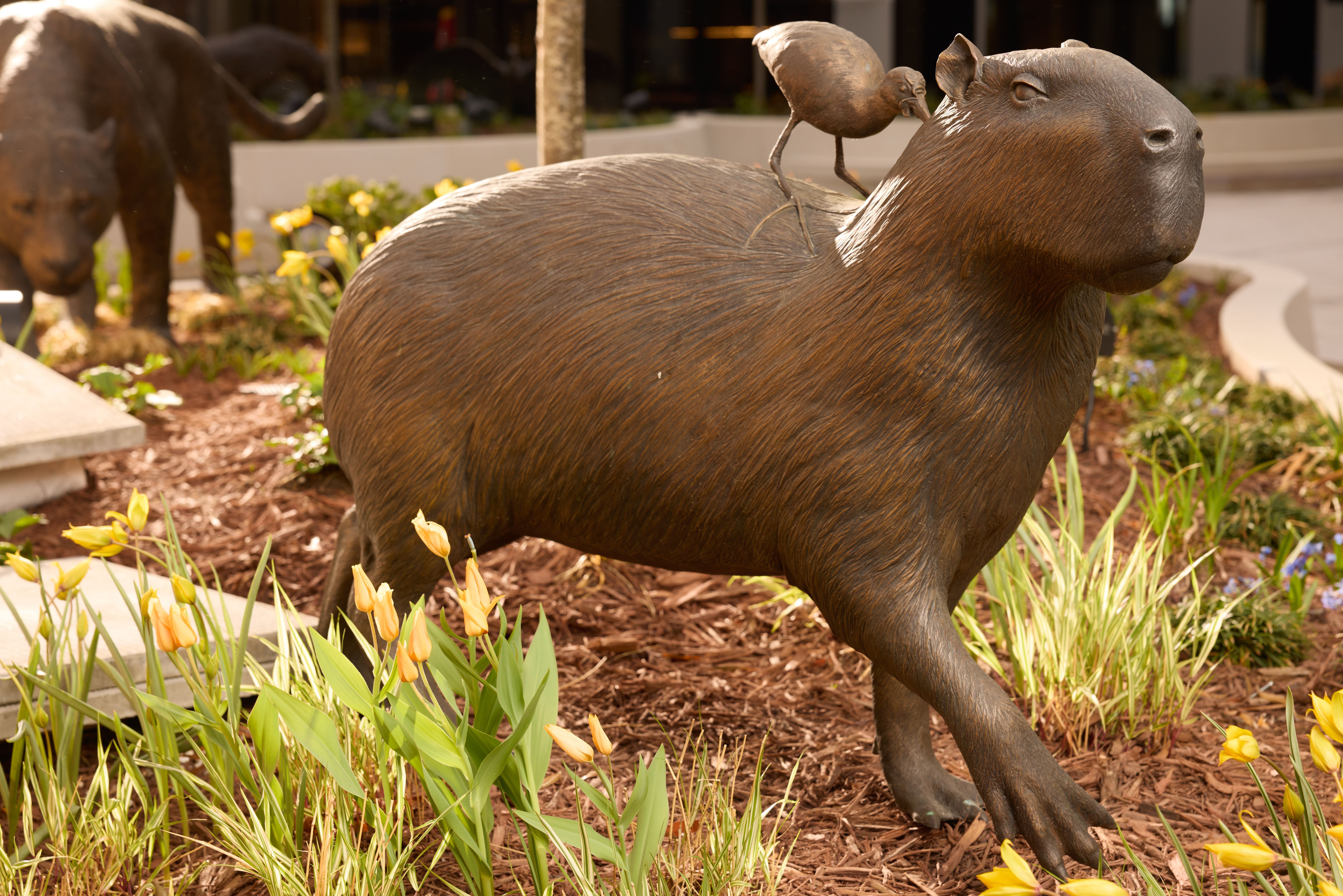 Uma escultura de bronze de uma capivara em posição de atenção, enquanto uma jaçanã procura insetos em suas costas. Ao fundo, uma escultura de bronze de uma onça-pintada a observa com fome • Rebecca Hale/National Geographic
