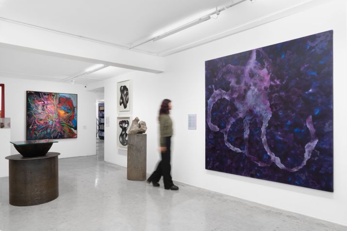 Instalação de "O fascínio e o afeto", na galeria Nara Roesler • Tatiana