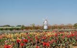 Holambra está entre os destinos que concorrem a Melhores Vilas Turísticas em 2026