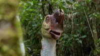 Campos do Jordão ganhará parque de dinossauros com mais de 60 réplicas