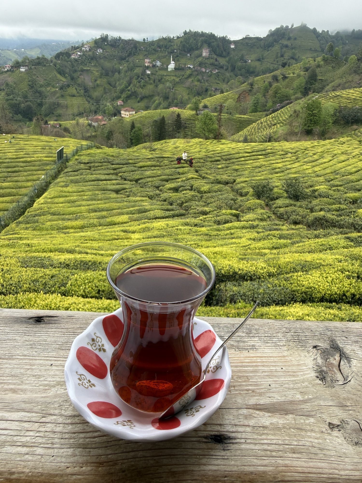 O tradicional copo de chá turco, conhecido como tulipa, emoldurado pelas plantações de Rize, principal região produtora de chá da Turquia • Tina Bini