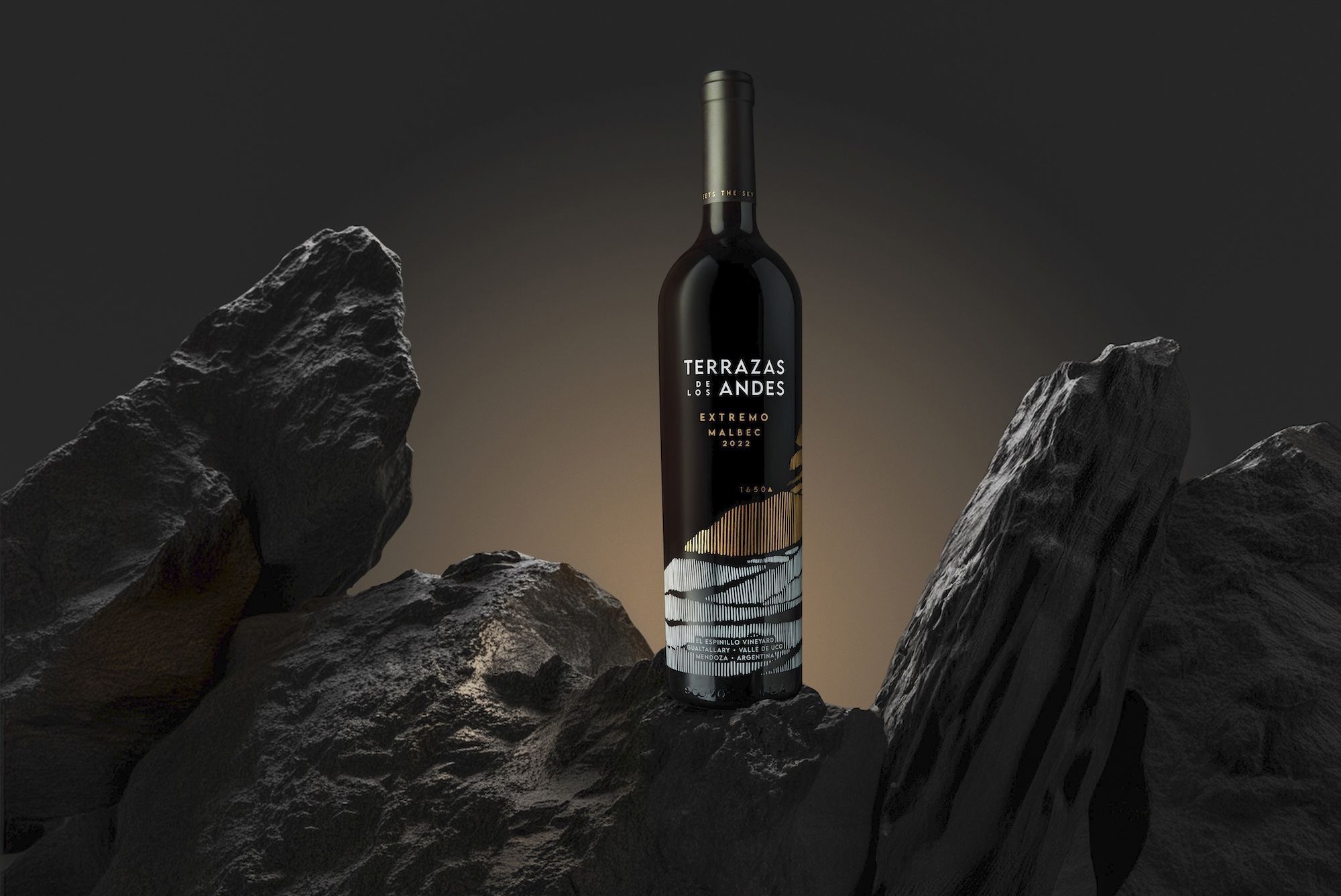 Extremo Malbec, produzido em Gualtallary, a 1.650 metros de altitude, o vinhedo mais alto da região • Divulgação