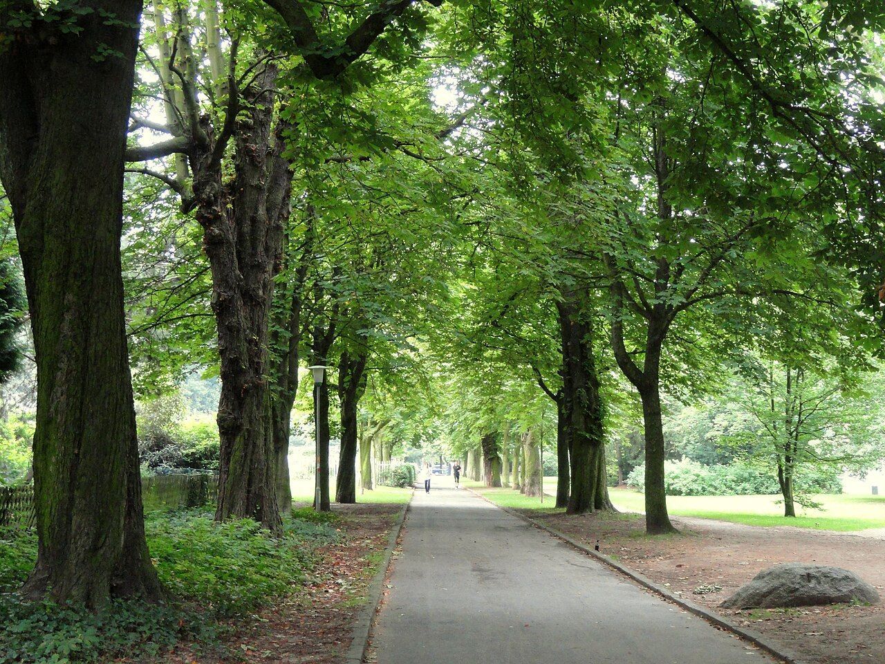 Grüneburgpark é um dos maiores parques de Frankfurt • Daderot/Wikimedia Commons/CC0 1.0 Universal