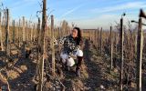 Daniela Filomeno em meio às vinhas da vinícola Oremus, na região de Tokaj