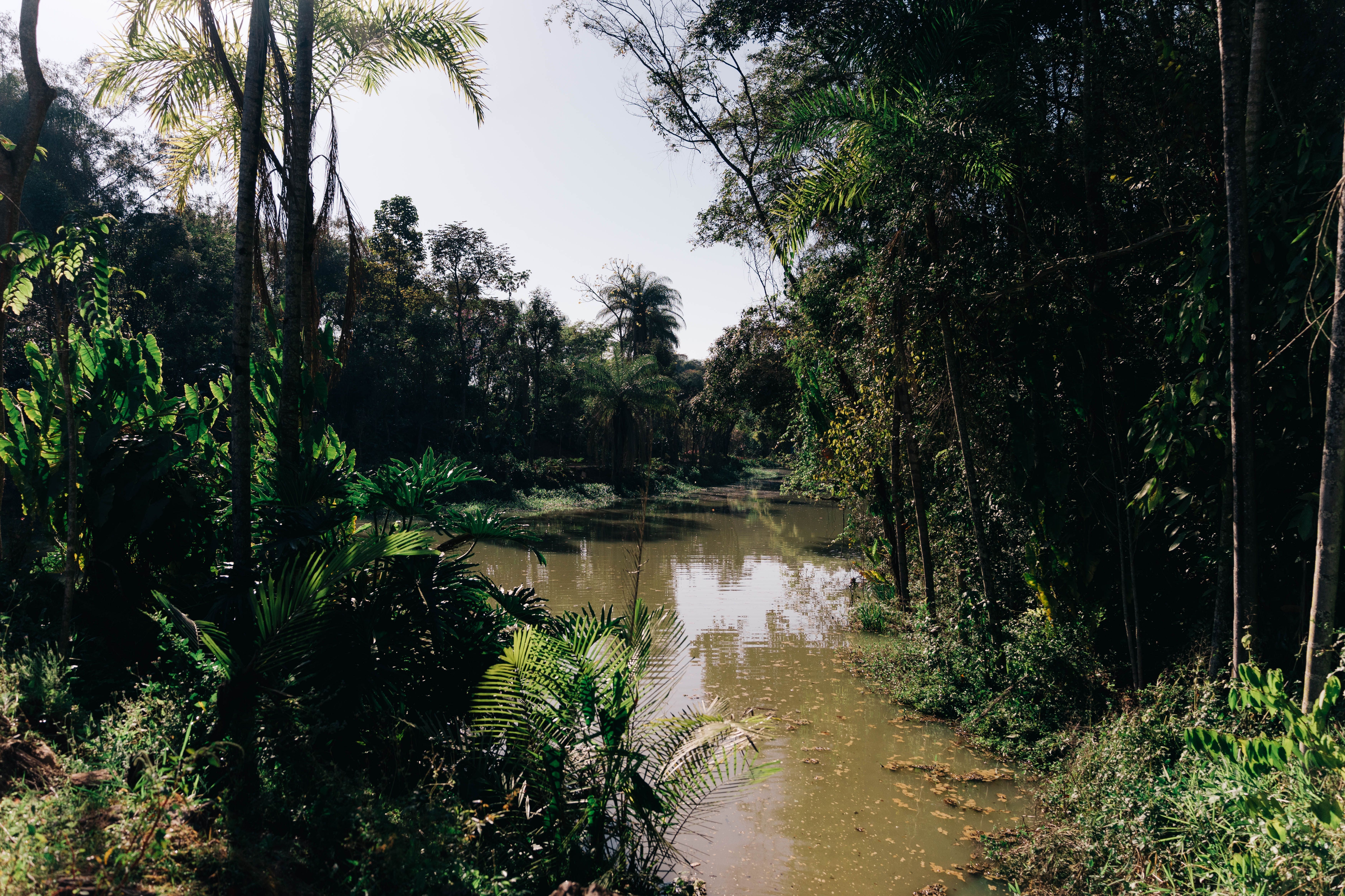 Natureza e paisagismo da zona rural de Brumadinho serão integrados ao Museu Bernardo Paz • Divulgação
