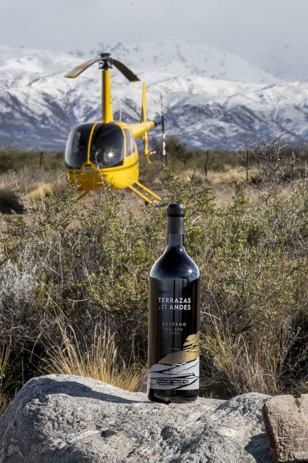 Entre as experiências oferecidas pela Terrazas de los Andes está o passeio de helicóptero, que sobrevoa seu vinhedo localizado em uma das áreas mais altas de Mendoza. Do alto, o visitante acompanha o contraste entre a imponente Cordilheira dos Andes e as fileiras de videiras cultivadas a 1.650 metros de altitude • FEDERICO J GARCIA