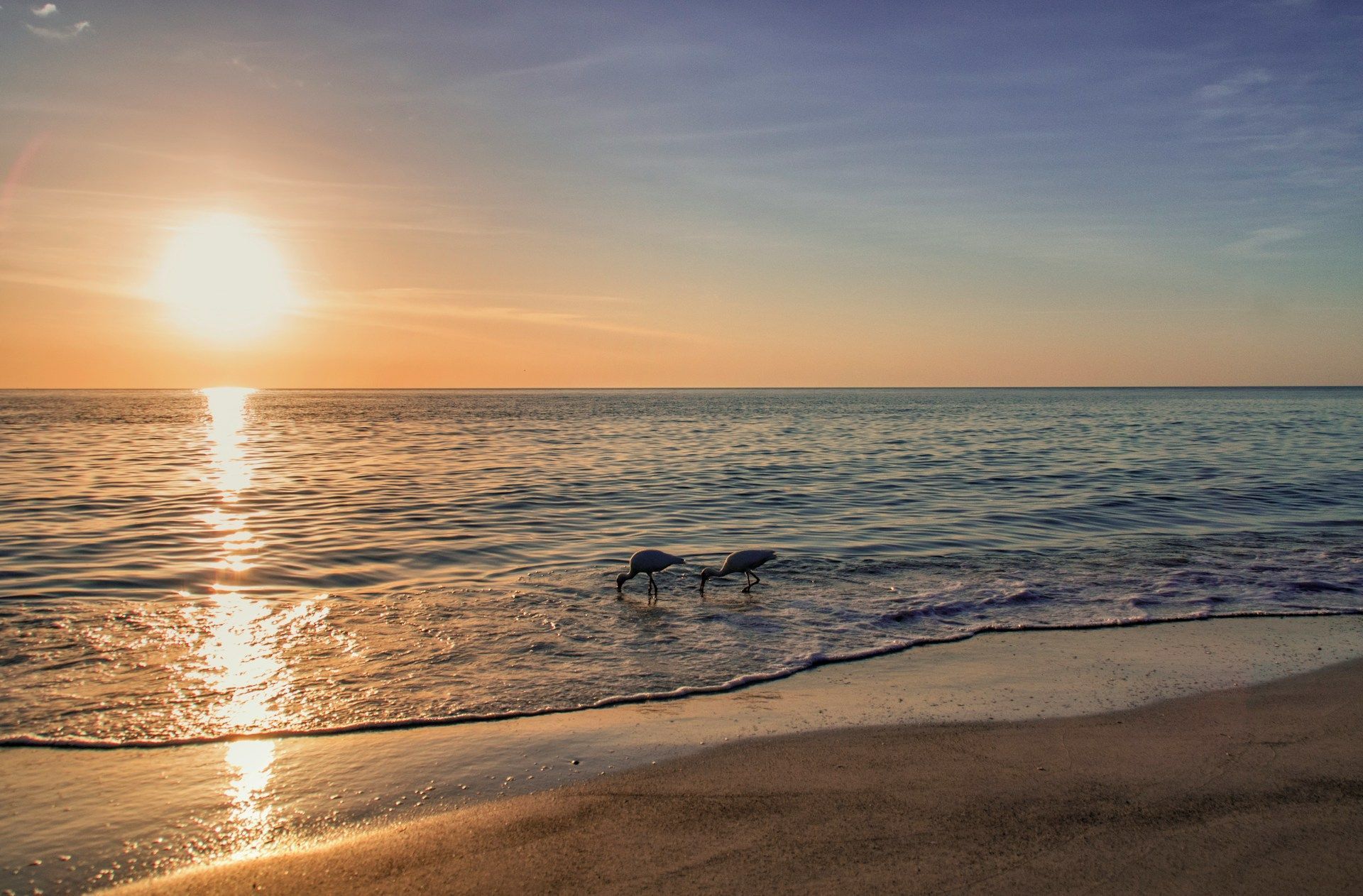 Praias de Sarasota ganham tons dourados ao fim do dia; do lado voltado para o Golfo do México, o pôr do sol é um dos grandes atrativos da região • Foto de moerwijk na Unsplash