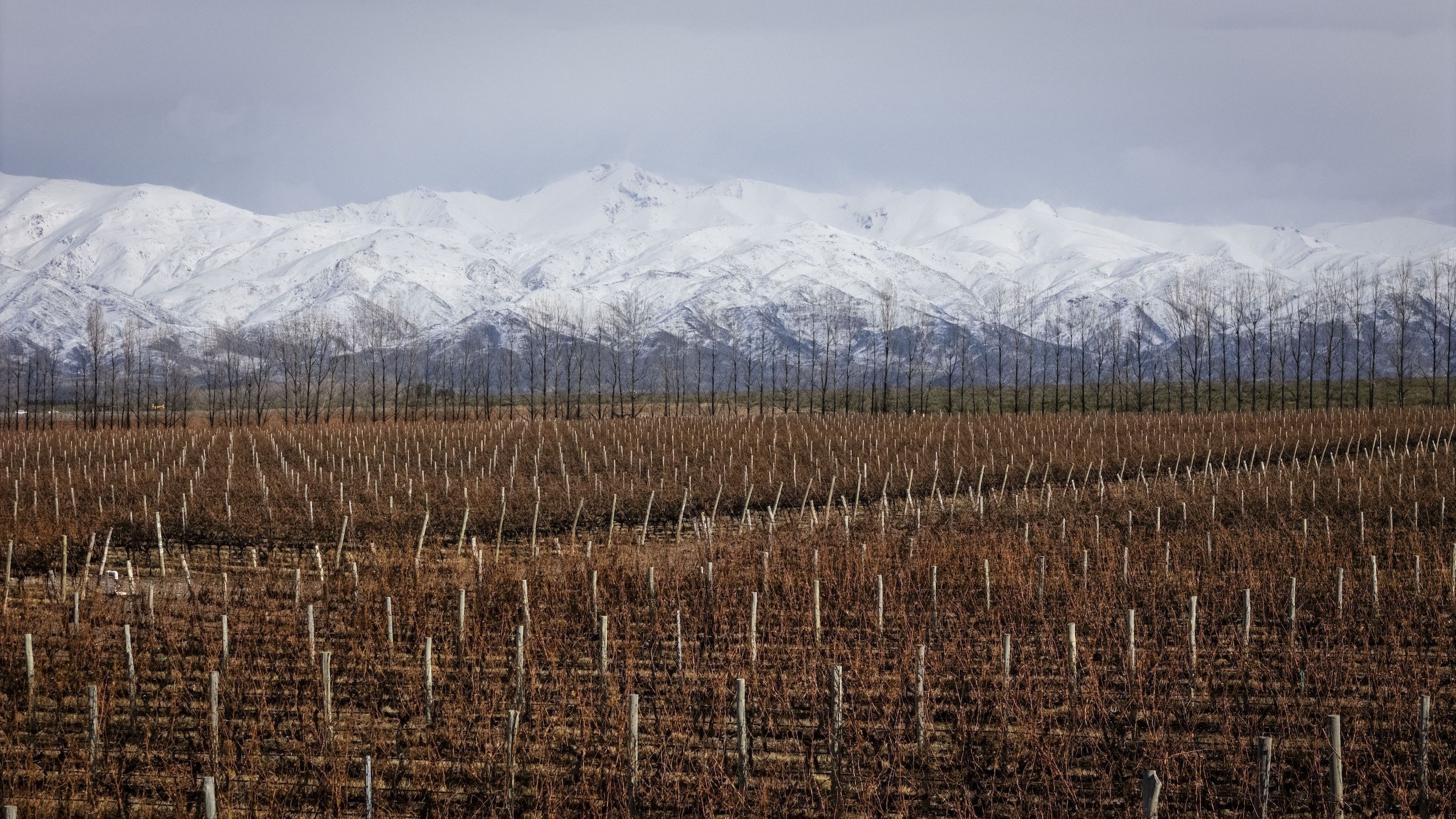 Vinícola em Gualtallary, o mais alto da região e onde produzem o Extremo Malbec, o rótulo ícone da marca.• Divulgação