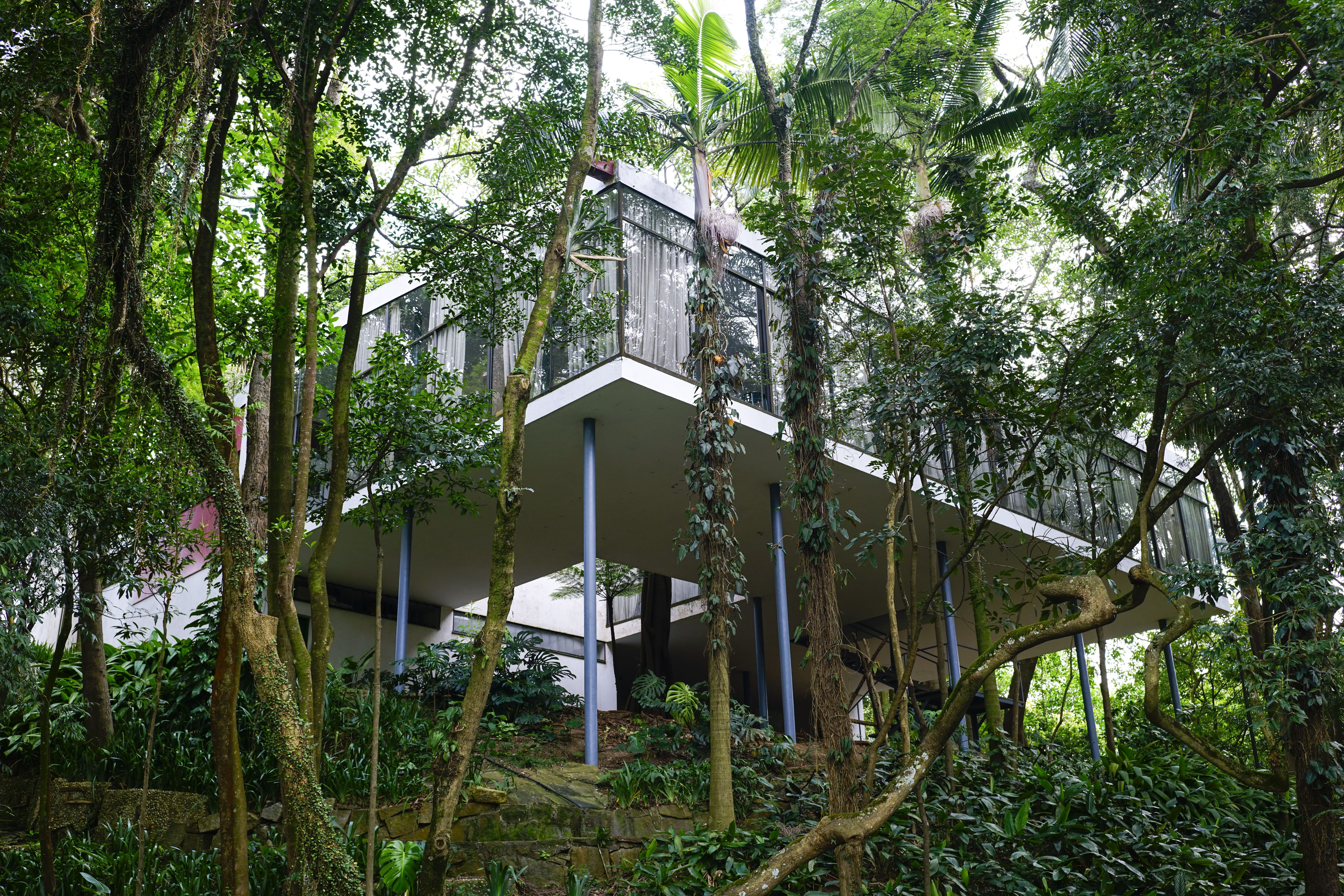 Casa de Vidro, endereço modernista em SP, foi a casa de Lina Bo Bardi e Pietro Maria Bardi por quatro décadas • Eduardo Ortega