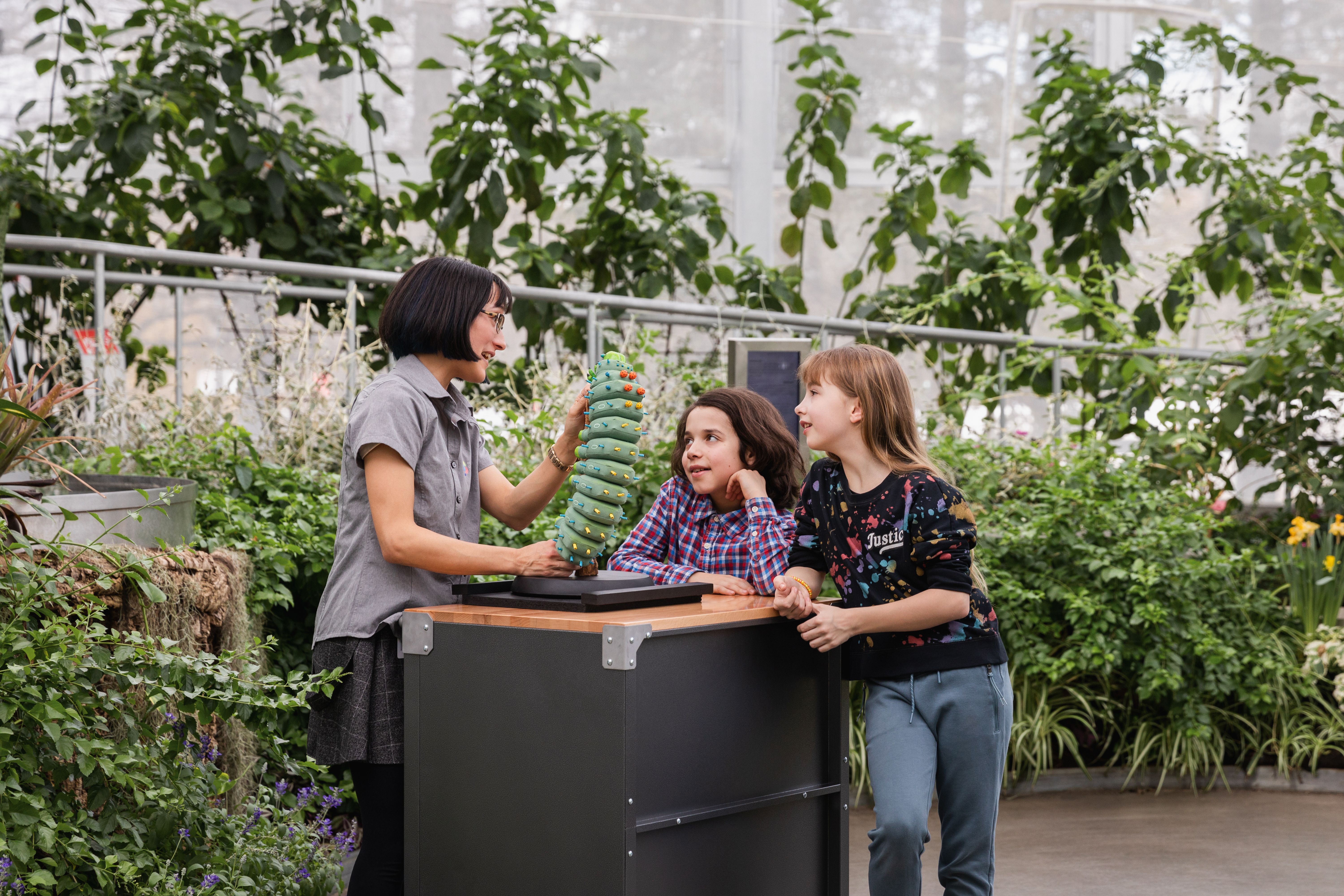 No Insectarium, os visitantes podem interagir com insetos vivos • Espace pour la vie/Melanie-Dusseault
