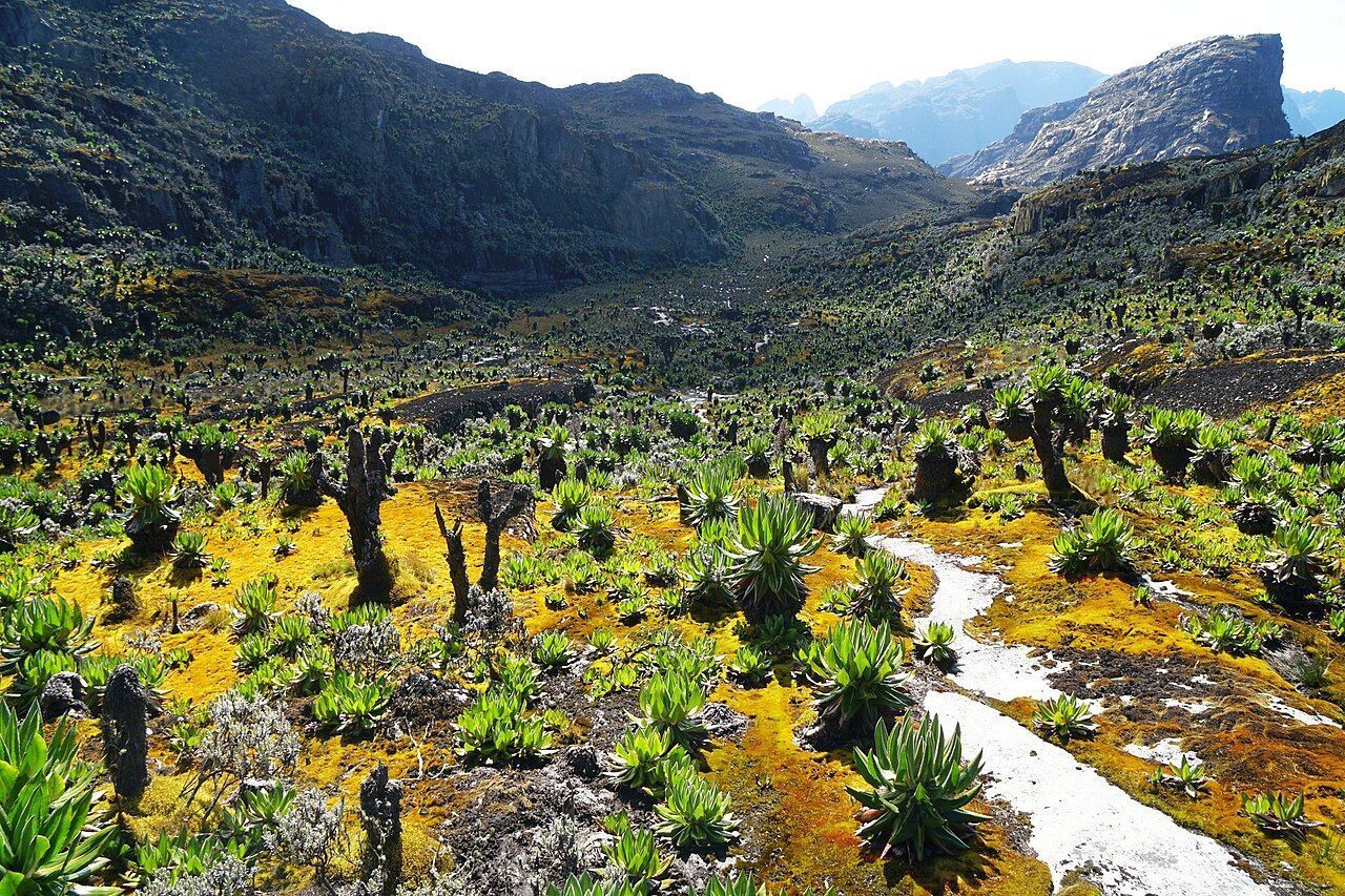 As montanhas Rwenzori, na fronteira com a República Democrática do Congo, às vezes são chamadas de "Montanhas da Lua" • Jontycrane/Wikimedia Commons/CC BY-SA 4.0